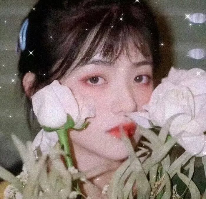 与敌人同行