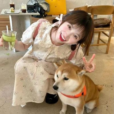 搞定岳父大人2014